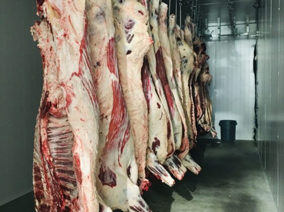 Beef Carcasses Meatheads Market