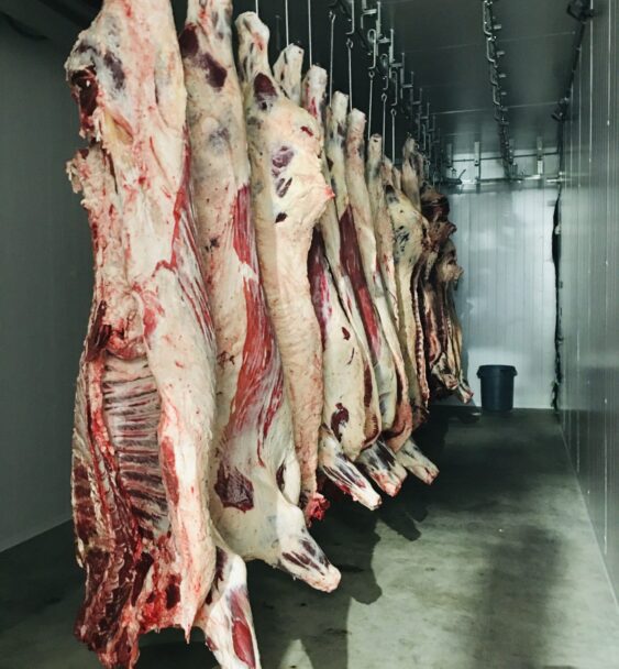 Beef Carcasses Meatheads Market