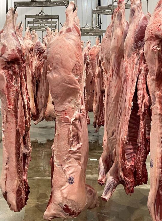 Hog Carcass Custom Hog Processing in Brookville, PA