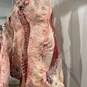 beef2-carcass-opti2-551x735x11x0x540x735x1748418418