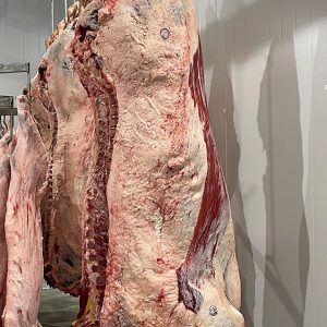 Beef Carcass Beef Processing