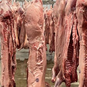 Hog Carcass Custom Hog Processing in Brookville, PA