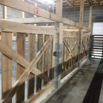 pens-meatheads-min-scaled-563x422x0x0x563x422x1748418418