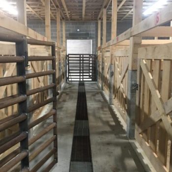 pens3-meatheads-min-scaled-563x422x0x0x563x422x1748418418